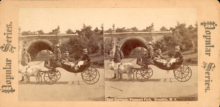 Goat Carriage in Prospect Park, circa 1890